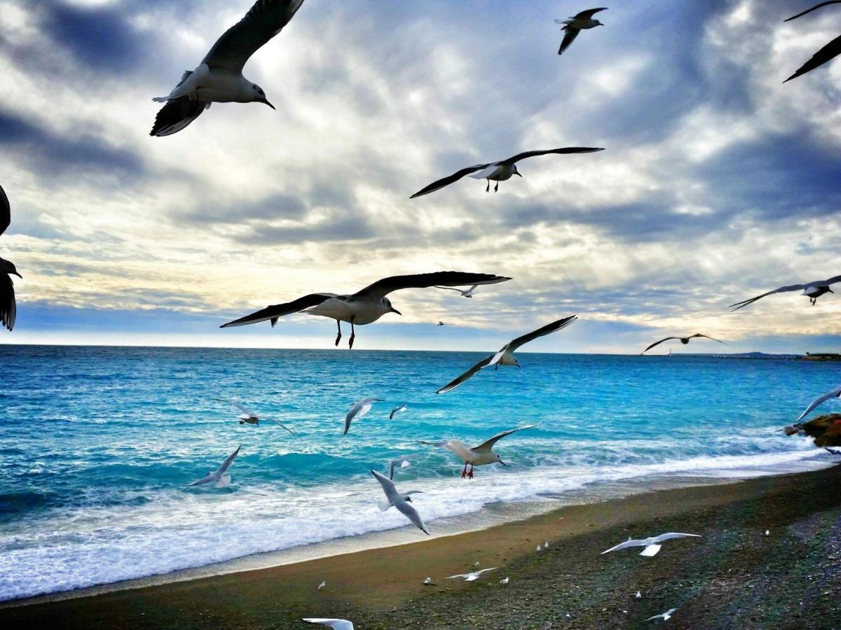 Bonaparte - Nice Dış mekan fotoğraf